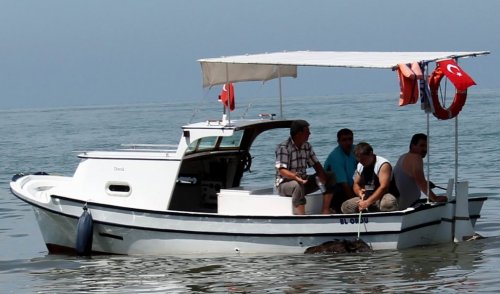 Ordu'da 