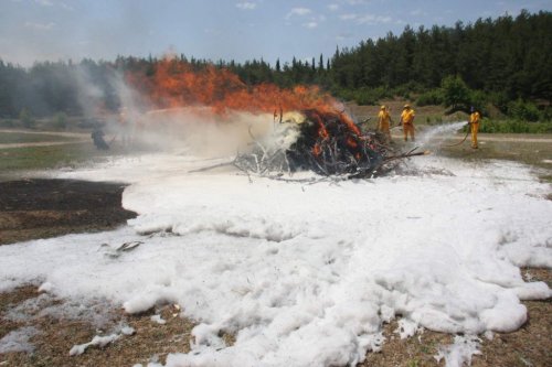 Ormancılardan Nefes Kesen Tatbikat