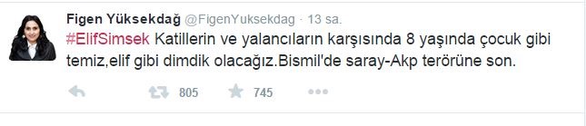 pkknin-katlettigi-elifle-ilgili-skandal-tweet.jpg