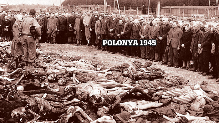 polonya.jpg