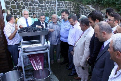 Rize’de Organik Pekmez İmalatına Başlandı