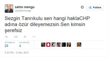 sahin-mengu_4305.jpeg