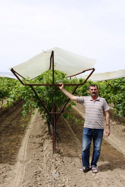 Sarıgöl Ziraat Odası’ndan Örtü Projesi Hazırlığı