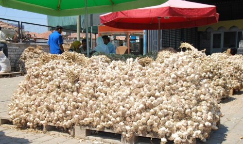 Sarımsak Tam Bir Şifa Kaynağı