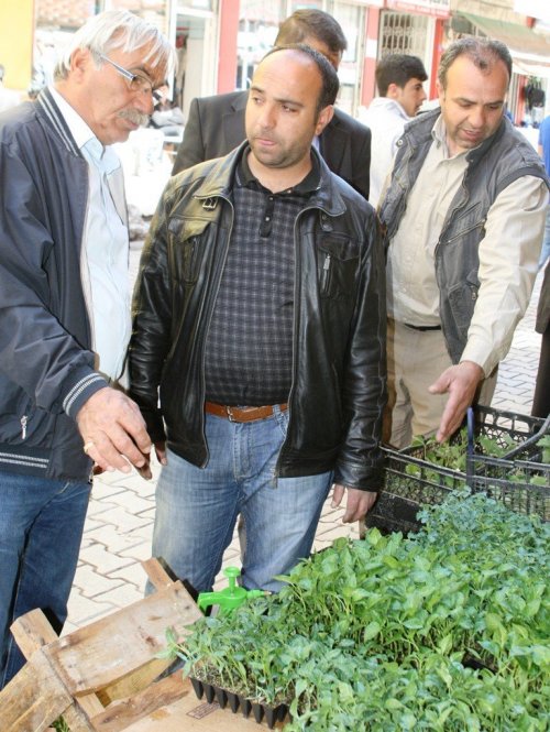Sebze Fidelerine Rağbet Arttı