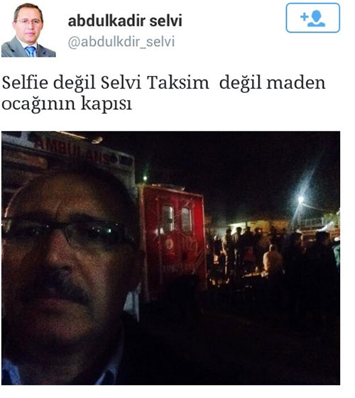 selvi500.jpg