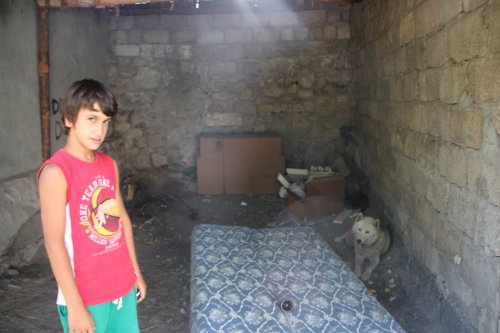 Sibirya Kurdu Dehşet Saçtı!