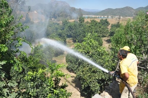 Sigara İzmariti Köyü Yakıyordu