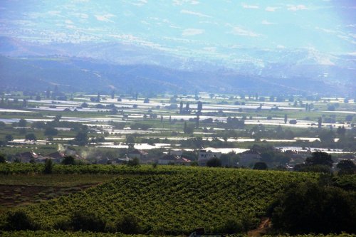 Sultaniye Bağları, Beyaza Büründü