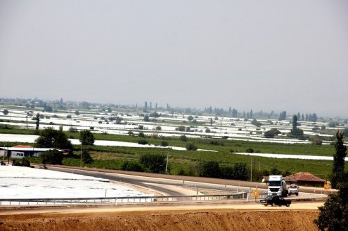 Sultaniye Bağları, Beyaza Büründü