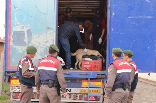 Şüpheli Tır'dan 59 Suriyeli Kaçak Çıktı