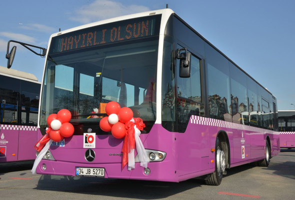t1-004.jpg