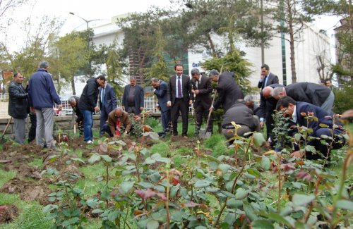 Tatvan’da “Gül Bahçesi” Oluşturuldu