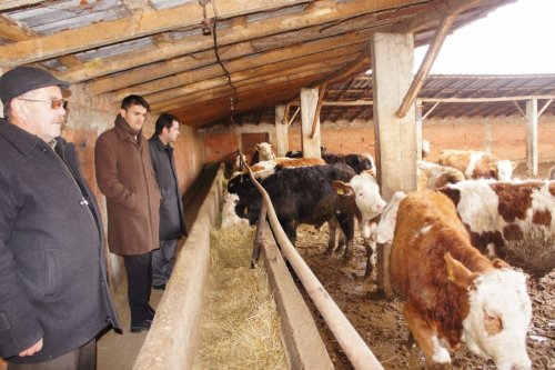 TKDK Tarafından Hibe Edilen Tesisler Faaliyete Geçti