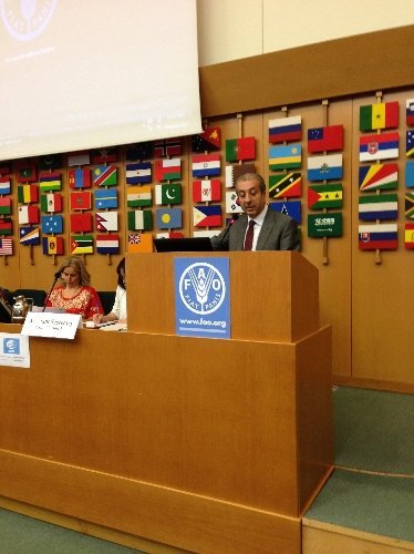 Türkiye, BM’nin FAO Konsey Üyeliğine Seçildi