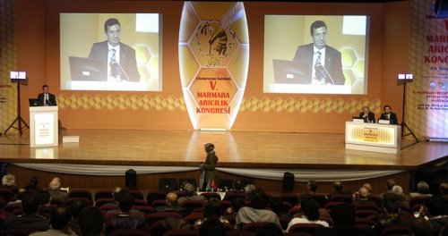 Türkiye Dünyanın En Büyük Arıcılık Ülkesi