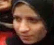 v_6169.jpeg v_6169.jpeg