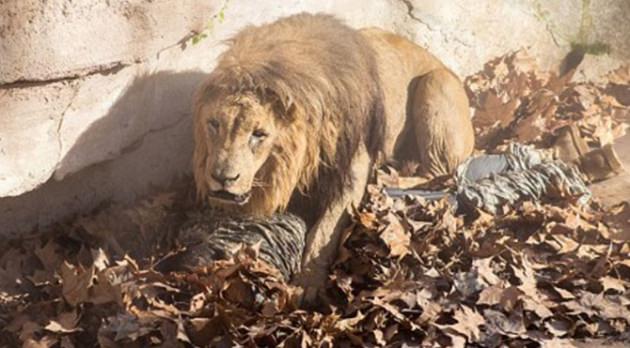 vmilx_1418049220_3359.jpg vmilx_1418049220_3359.jpg