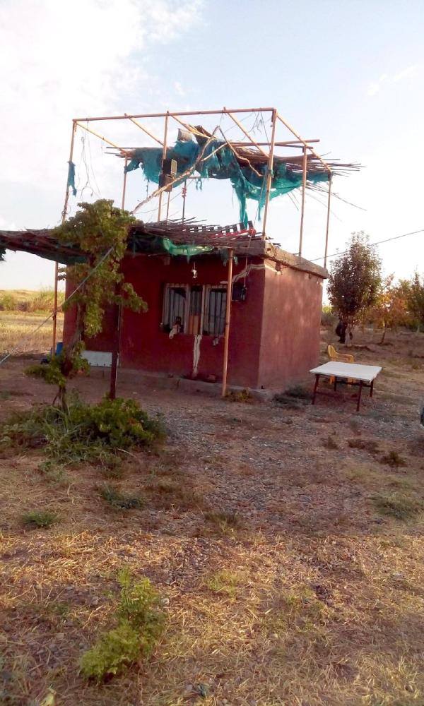 w1ydc_1440145866_6965.jpg w1ydc_1440145866_6965.jpg