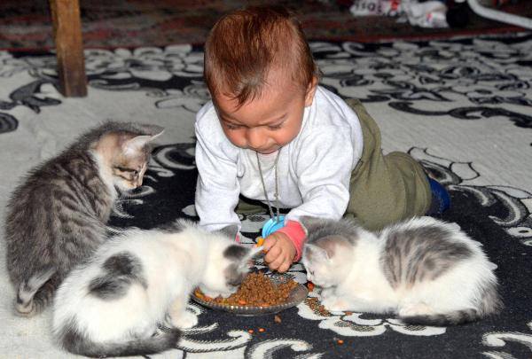 wwkvt_1435301735_4359.jpg wwkvt_1435301735_4359.jpg