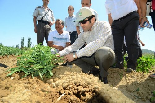 Yatağan’da Tarla Günü