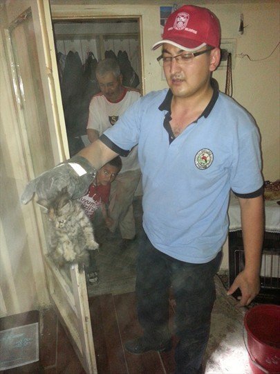 Yavru Kedileri İtfaiye Kurtardı