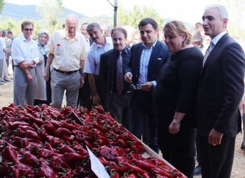 Yenice’de Gıda Ve Hayvancılık Fuarı Yapıldı