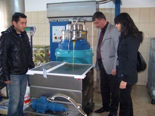 Zeytin, Üreticinin Yüzünü Güldürdü