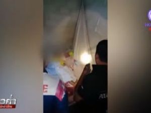 9 yaşındaki kız çocuğunu öldüren kobra yılanı
