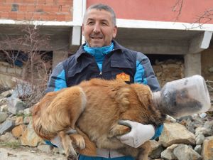 Kafası bidona sıkışan köpek için seferber oldular