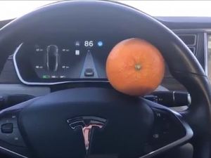 Tesla'nın otomatik pilotunu portakalla kandıran adam