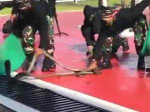 Özel birliklerin yılan kanı içerek yaptığı gösteri