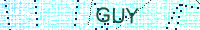Güvenlik Resmi