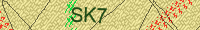Güvenlik Resmi